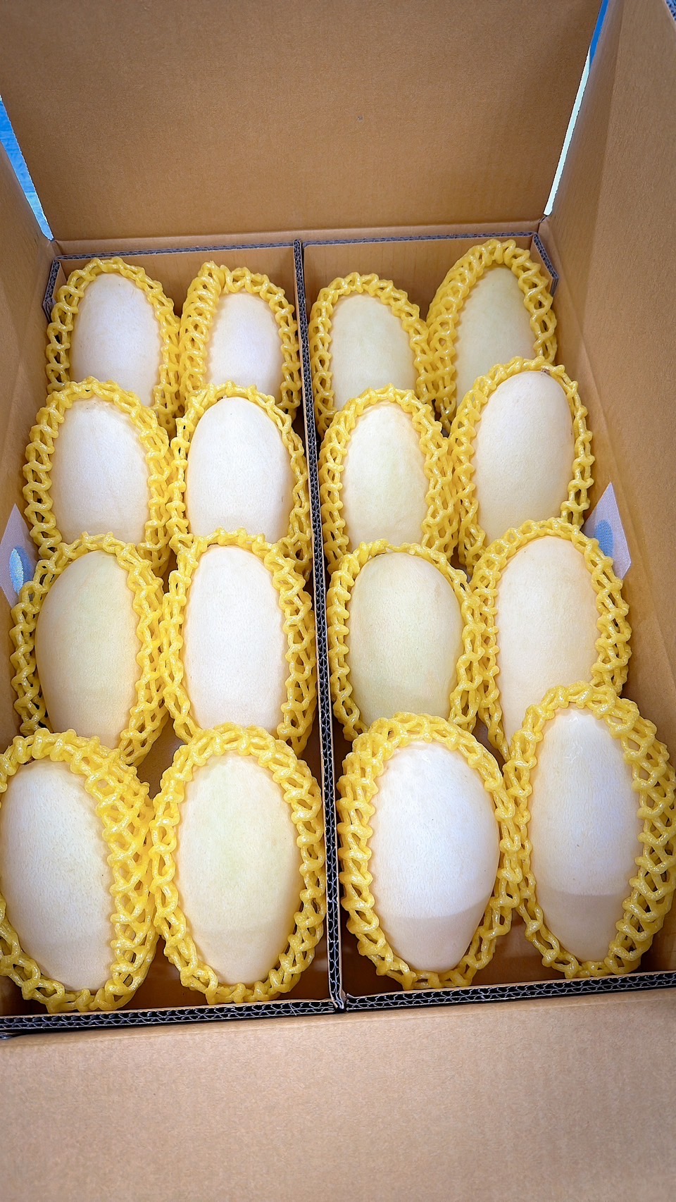 ナンドクマイマンゴー